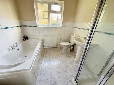 Picture 20